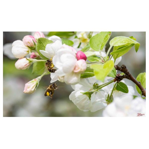 PHOTO84, CLUB, 84 , LUBERON